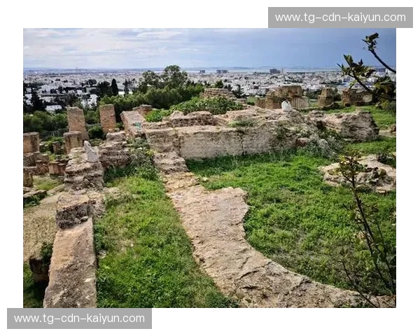 冰与火的碰撞:当北欧海盗遇见迦太基雄鹰,突尼斯vs瑞典的深度博弈