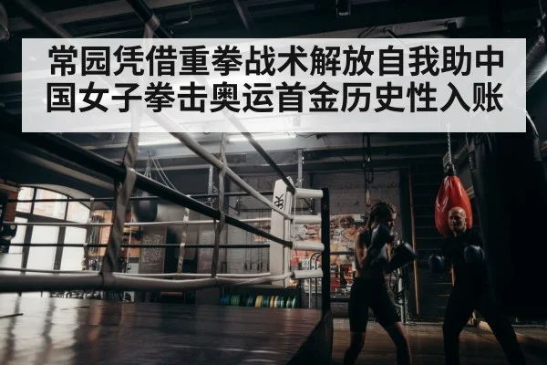 boxer training in gym