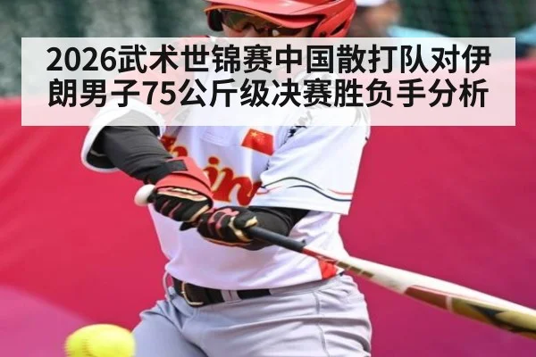 2026武术世锦赛中国散打队对伊朗男子75公斤级决赛胜负手分析